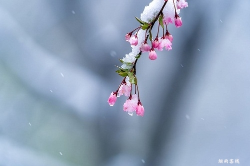 10首春天下雪的唯美诗词（形容春天下雪的句子）